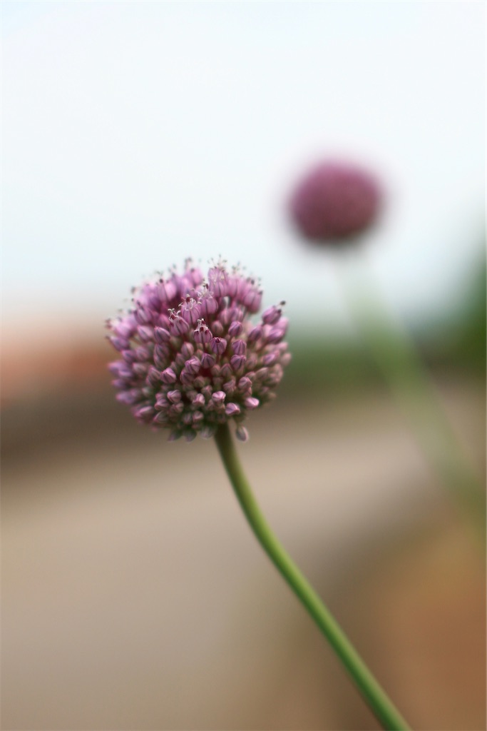 f:id:M32:20250607092401j:image