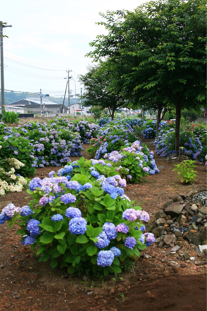 f:id:M32:20250608085828j:image