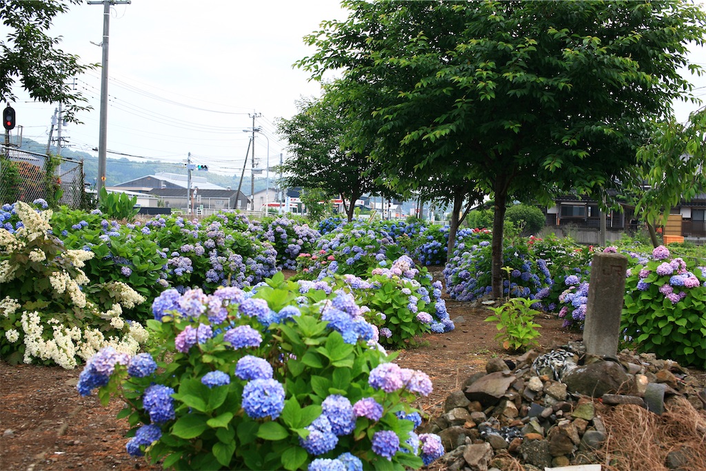 f:id:M32:20250608085845j:image