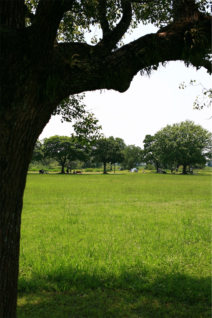 f:id:M32:20250629151806j:image