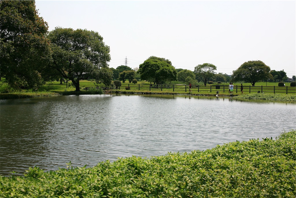 f:id:M32:20250629151841j:image