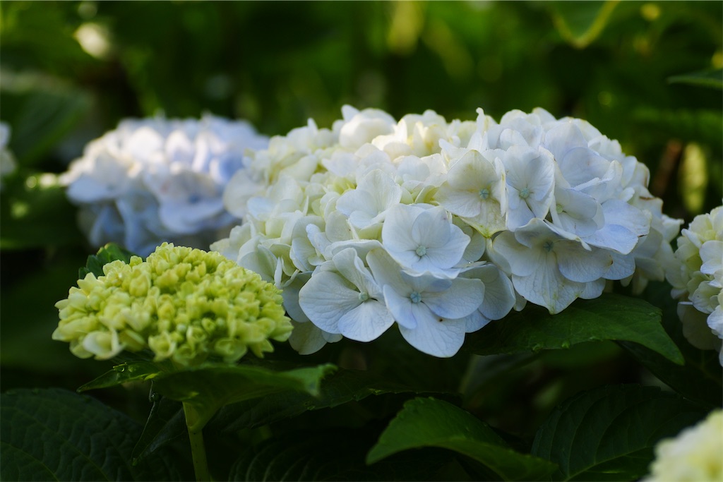 f:id:M32:20260606072302j:image