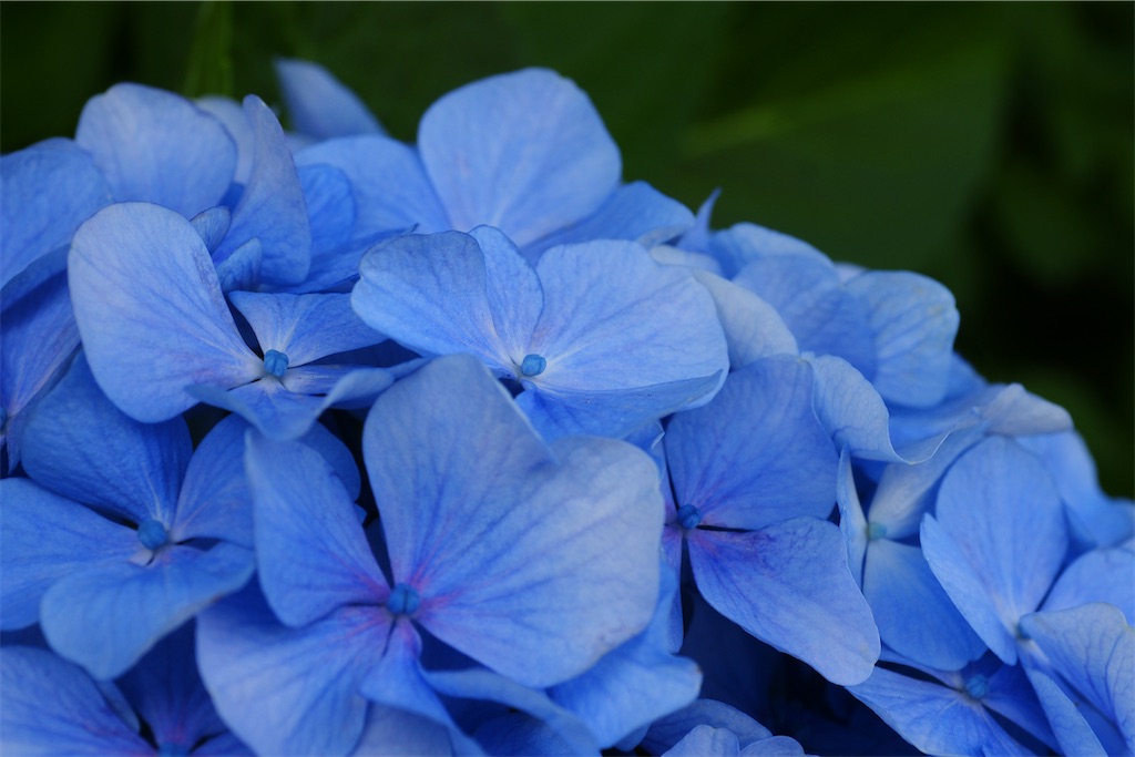 f:id:M32:20260606085801j:image
