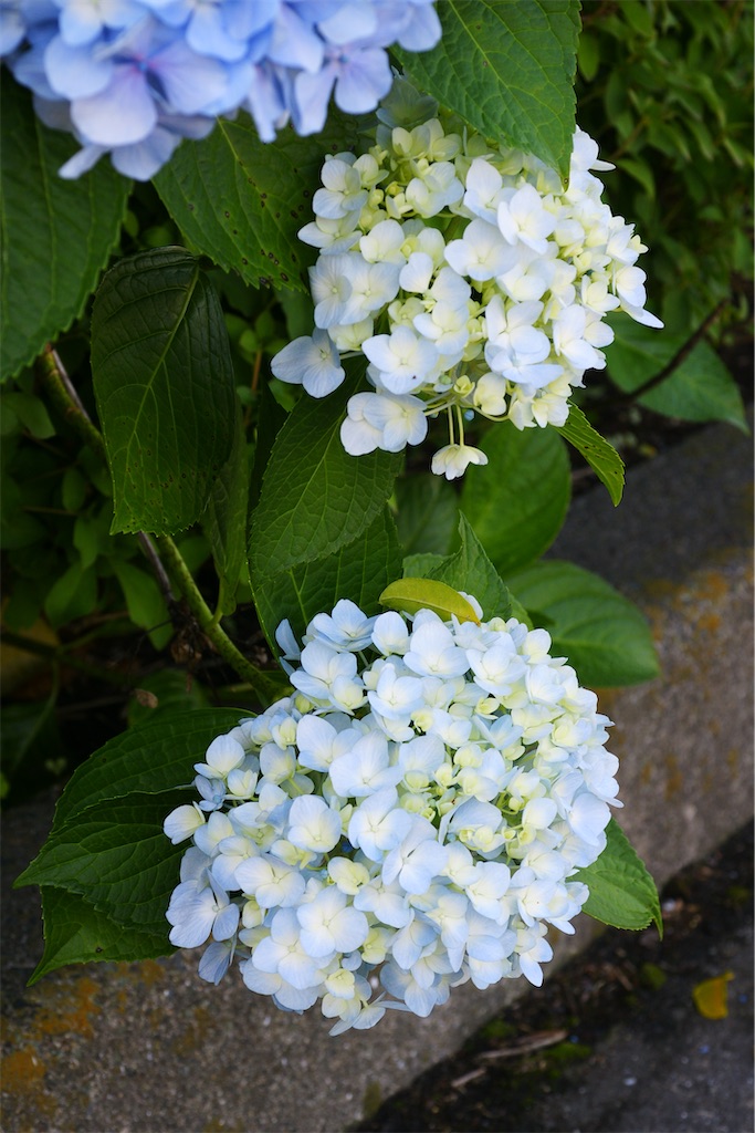 f:id:M32:20260606085803j:image