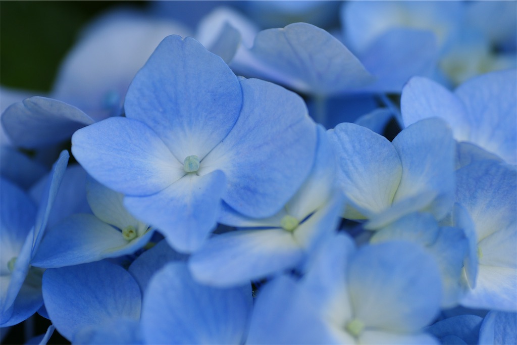 f:id:M32:20260606085806j:image