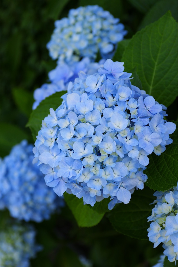 f:id:M32:20260606085812j:image