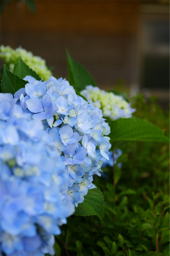 f:id:M32:20260606085822j:image