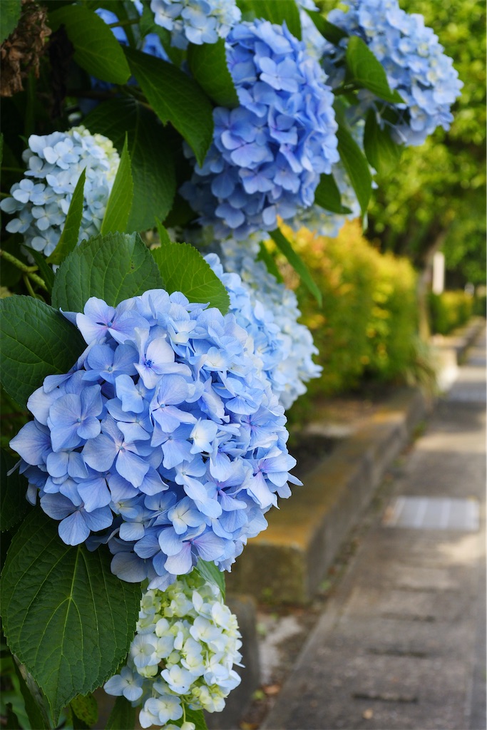 f:id:M32:20260606085826j:image