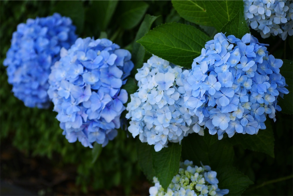 f:id:M32:20260606085828j:image