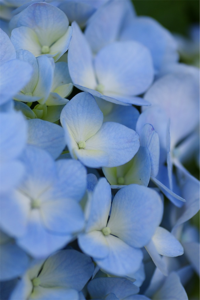 f:id:M32:20260606085831j:image