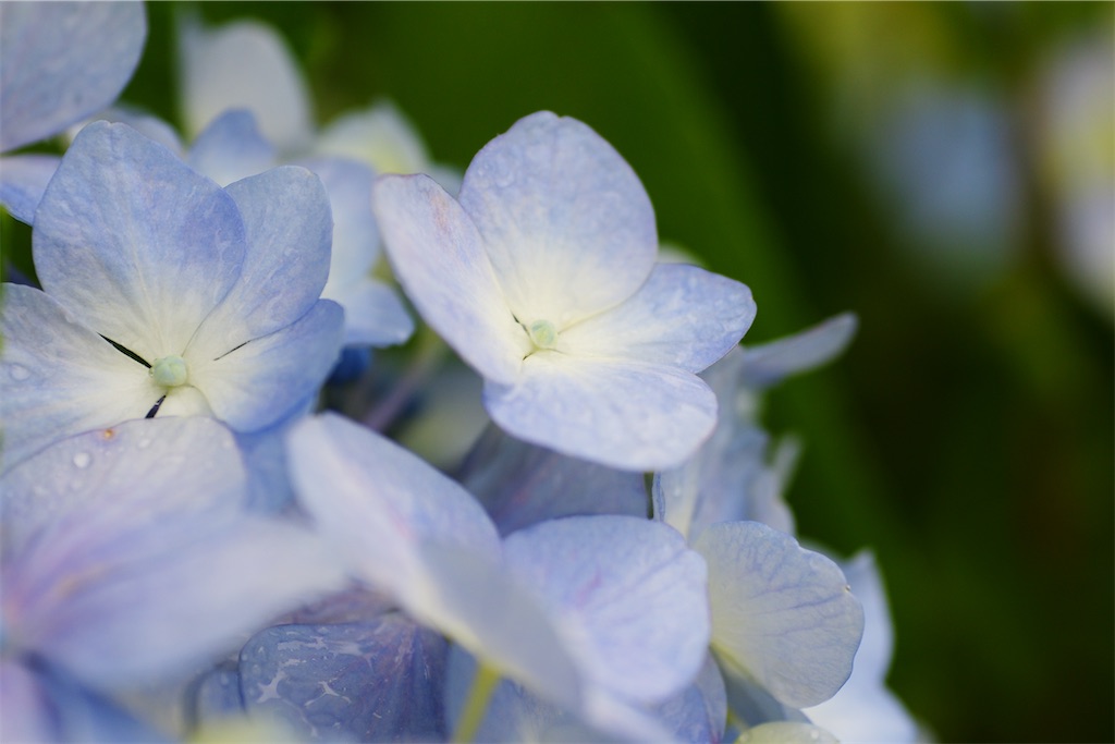 f:id:M32:20260609090037j:image
