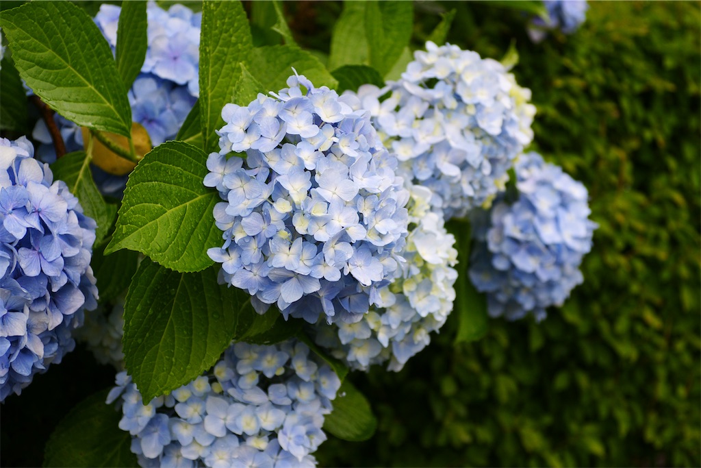 f:id:M32:20260609090050j:image