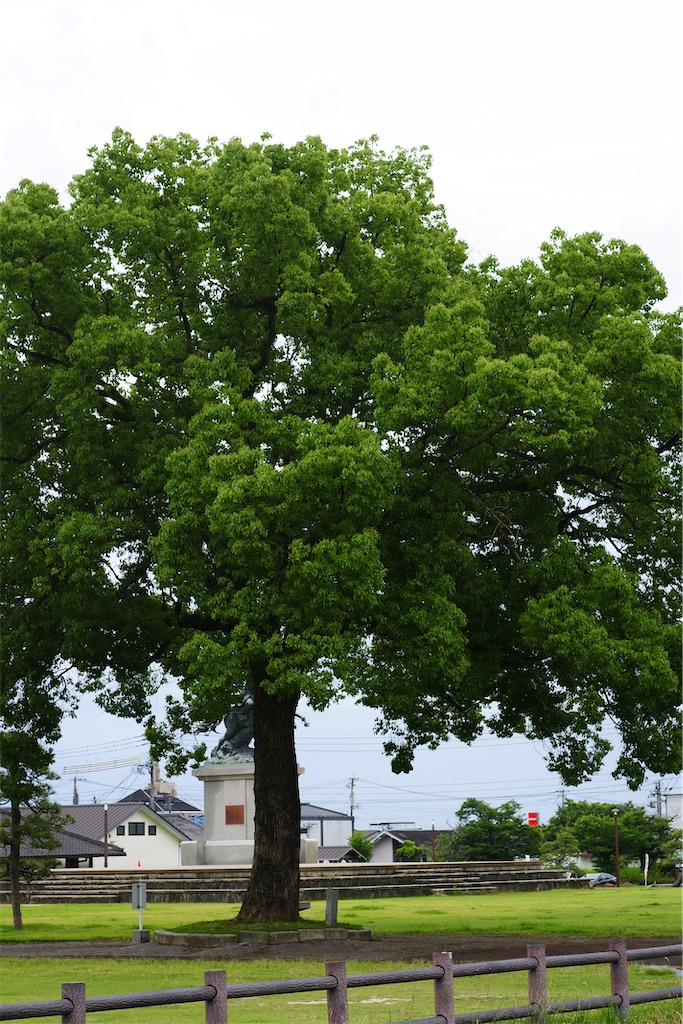 f:id:M32:20260609090123j:image
