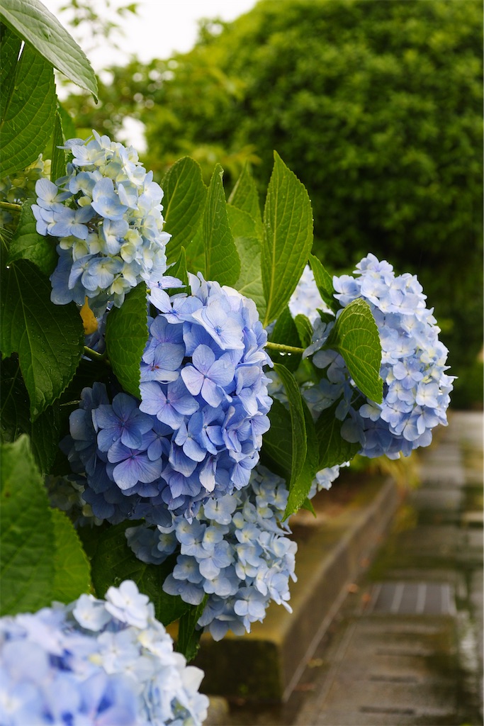 f:id:M32:20260609090140j:image
