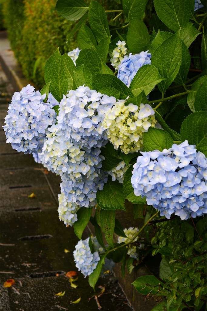 f:id:M32:20260609090143j:image