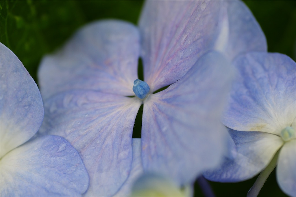 f:id:M32:20260609090149j:image