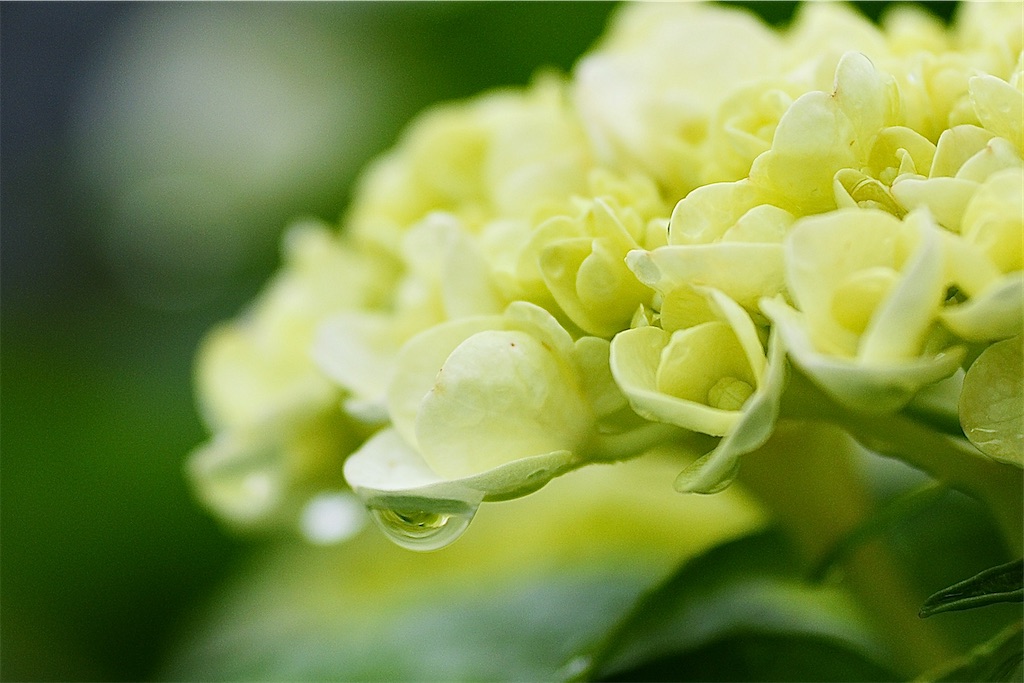 f:id:M32:20260609090152j:image