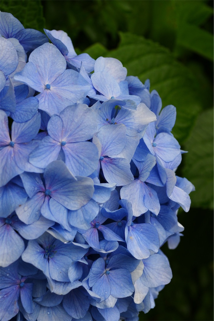 f:id:M32:20260609090158j:image