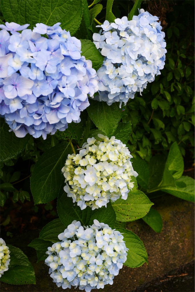 f:id:M32:20260609090221j:image