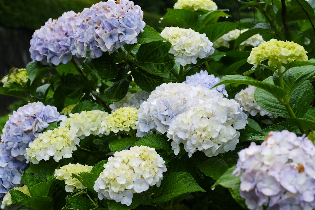 f:id:M32:20260609090232j:image