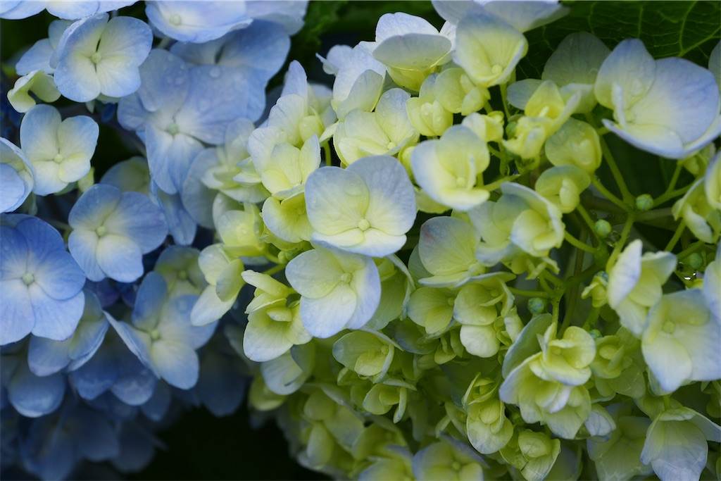 f:id:M32:20260609090239j:image