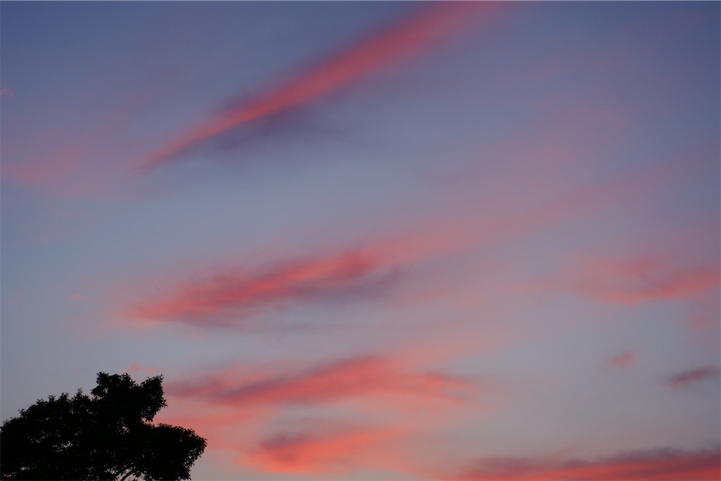 f:id:M32:20260613054223j:image
