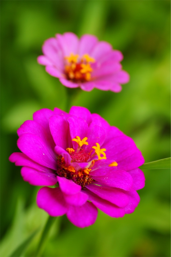 f:id:M32:20260614134907j:image