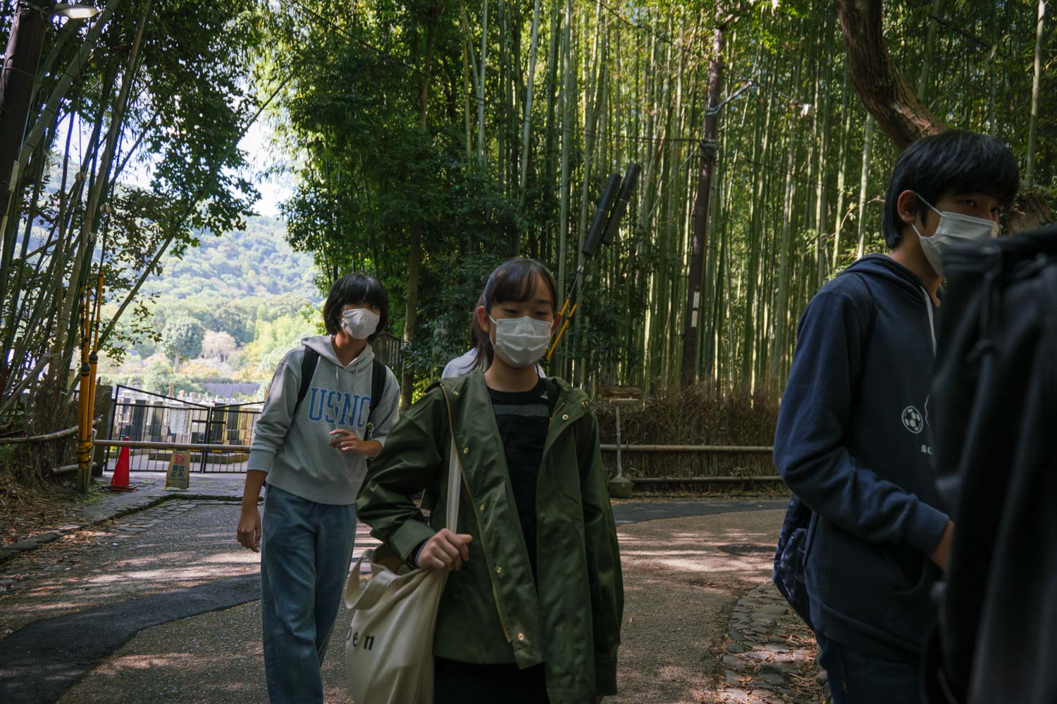 京都 嵐山 竹林の小径 竹林の道 天界入路
