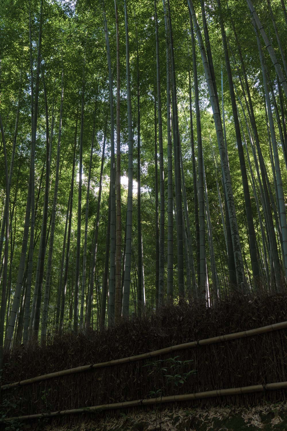 f:id:M5-884:20201213180235j:plain