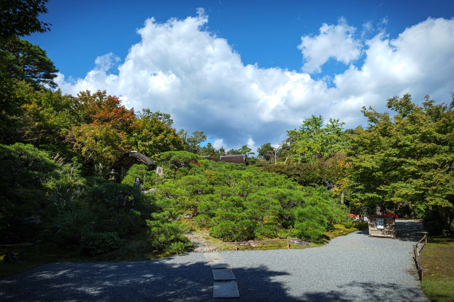 f:id:M5-884:20201214213648j:plain