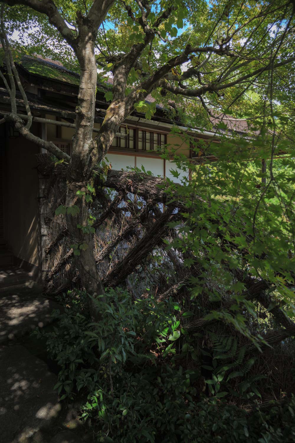 f:id:M5-884:20201216191452j:plain