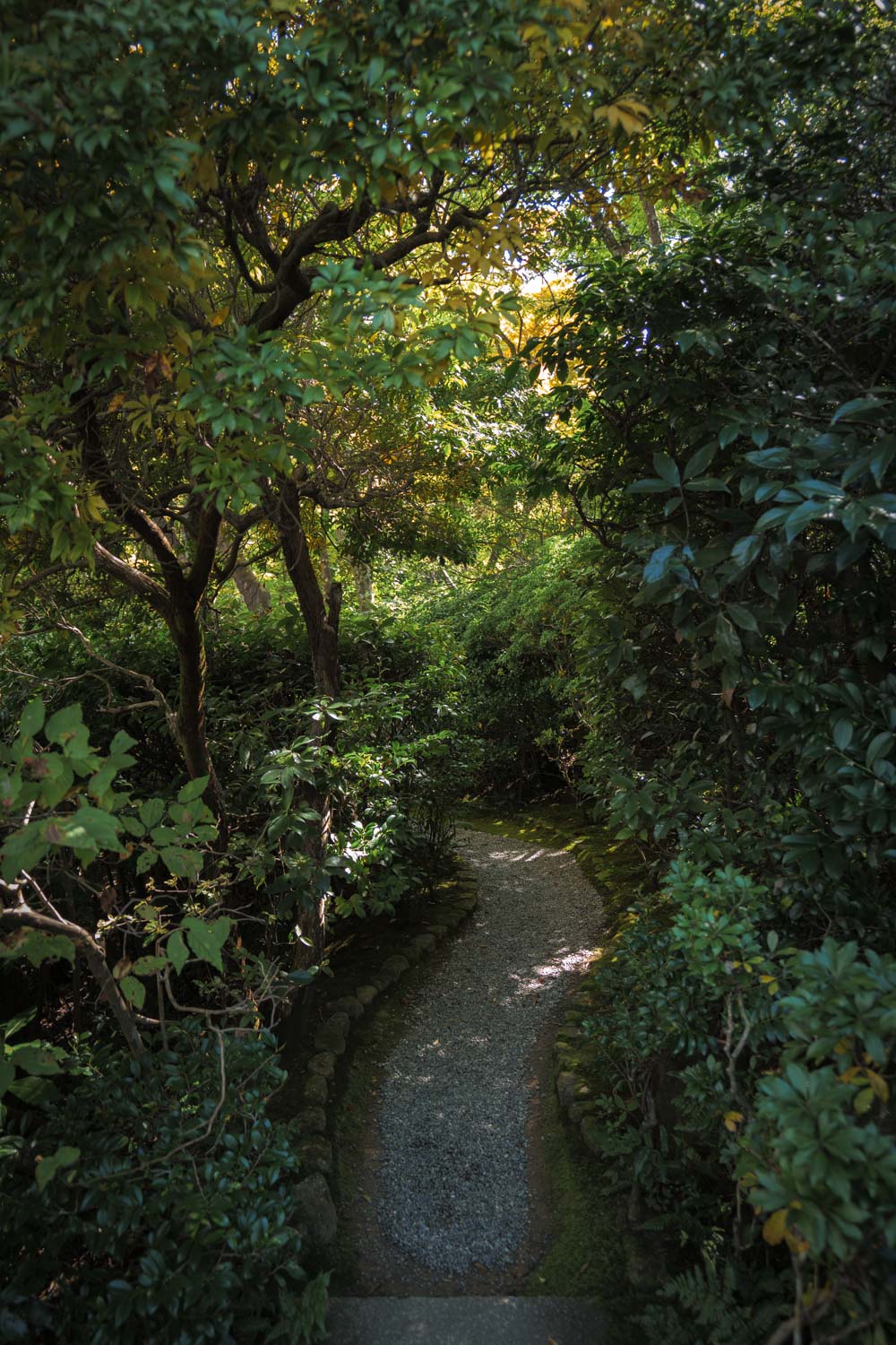 京都 嵐山 竹林の小径 大河内山荘庭園 ５ 天界入路