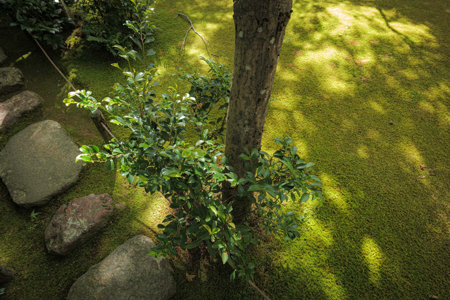 f:id:M5-884:20201219215911j:plain