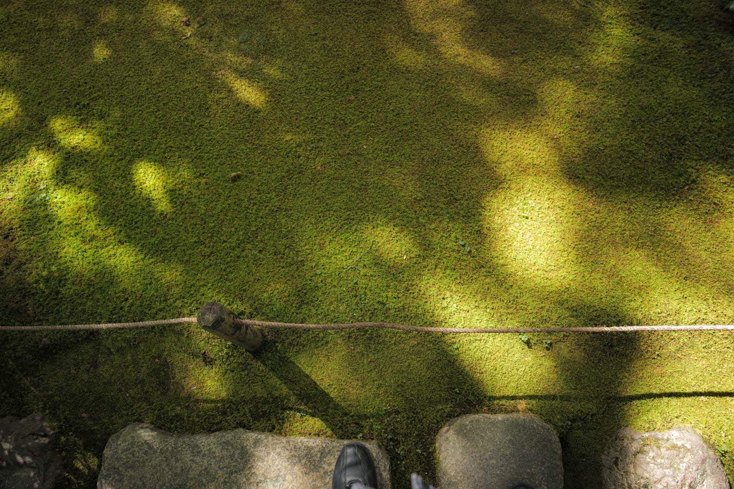 f:id:M5-884:20201219215939j:plain