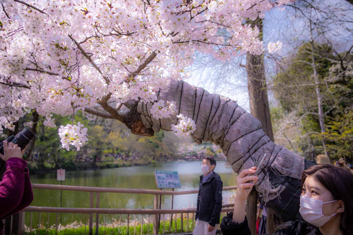 f:id:M5-884:20210409185310j:plain
