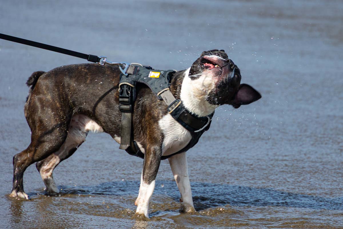 f:id:M5-884:20210623183328j:plain