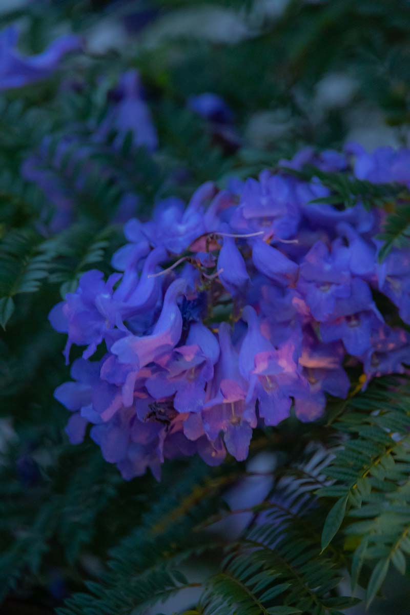 f:id:M5-884:20210713185344j:plain