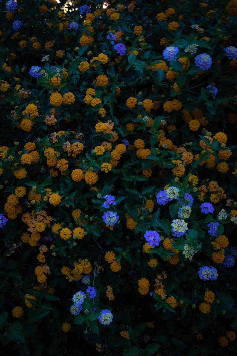 f:id:M5-884:20210714204815j:plain
