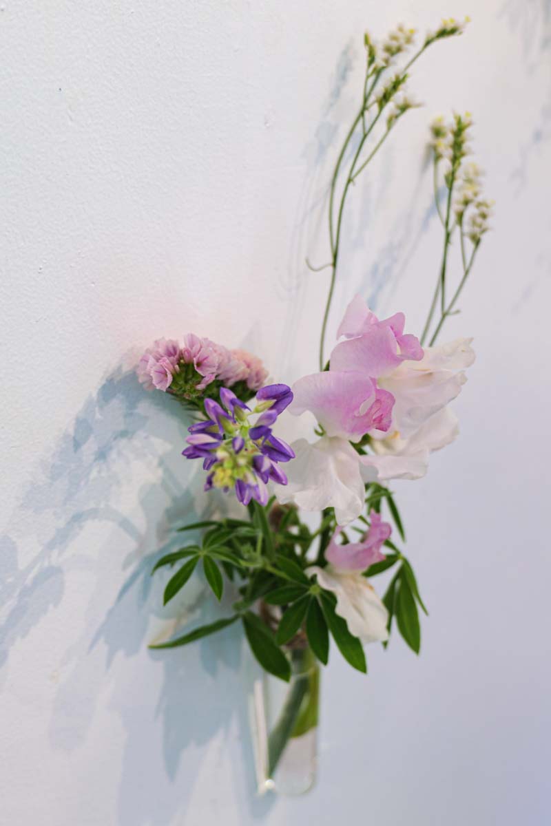 f:id:M5-884:20220310210452j:plain