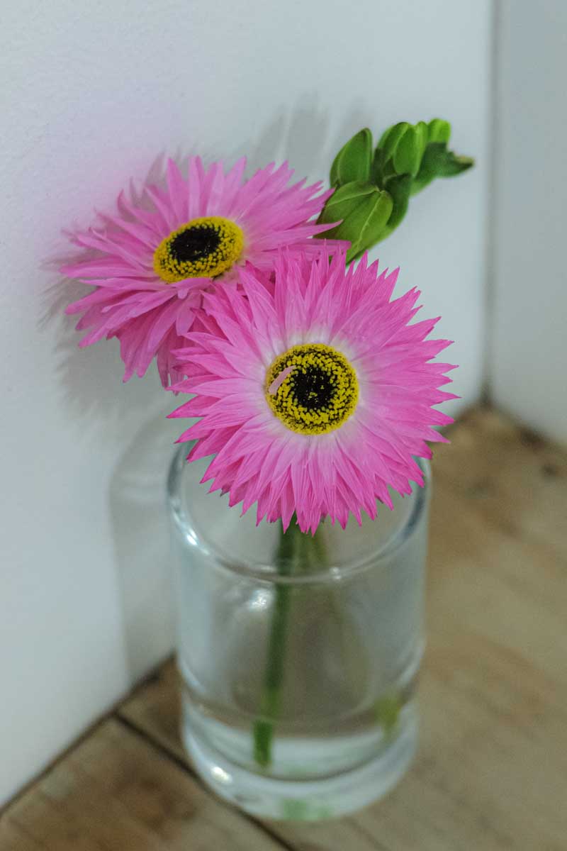 f:id:M5-884:20220315213544j:plain