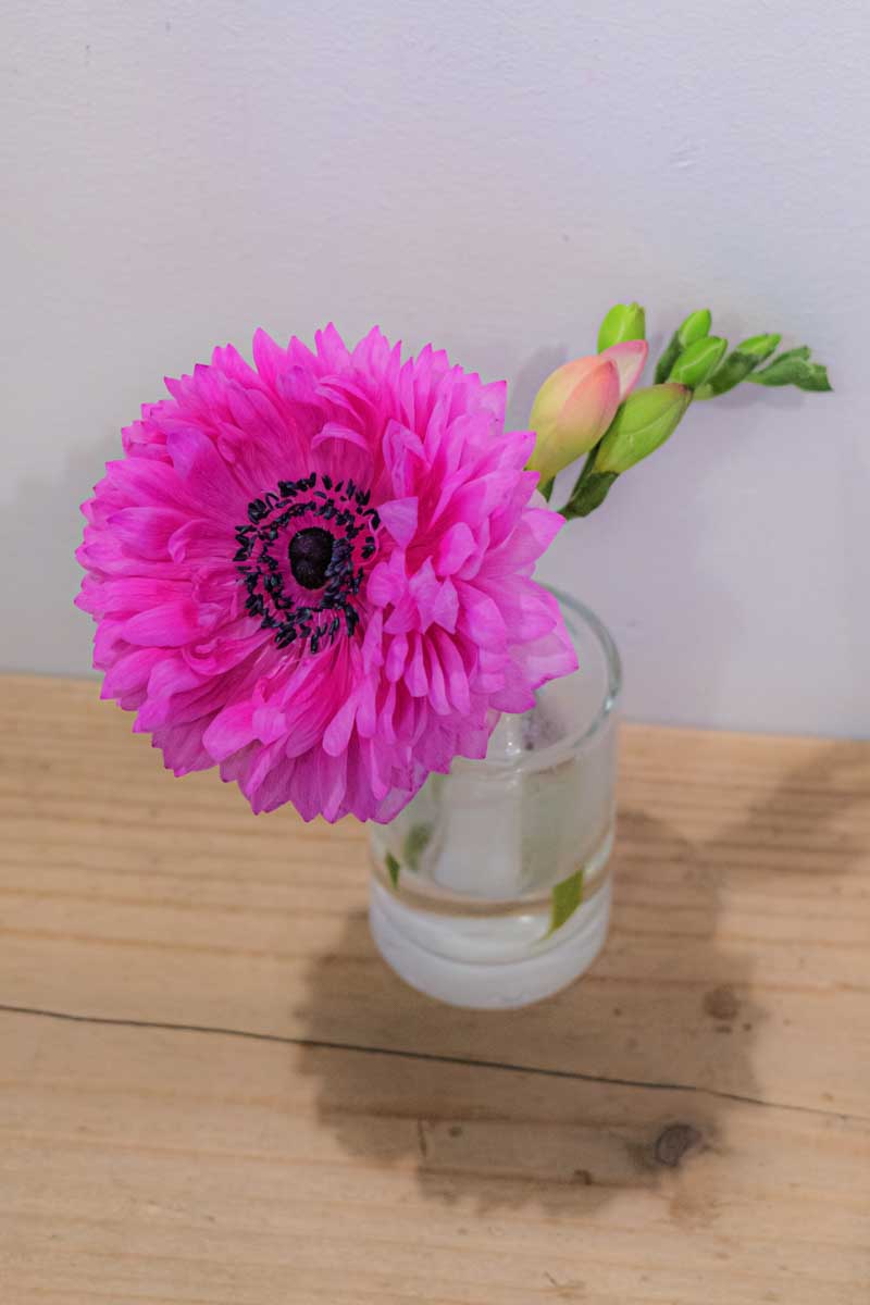 f:id:M5-884:20220315213602j:plain