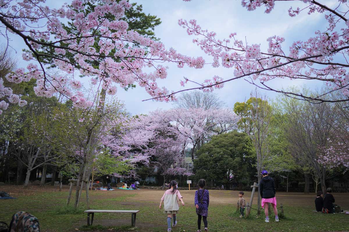 f:id:M5-884:20220402215342j:plain