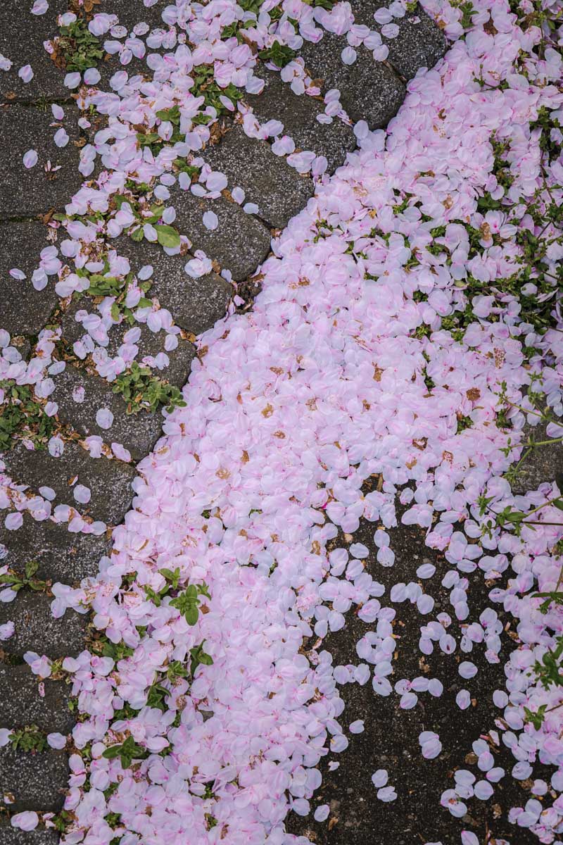 f:id:M5-884:20220410185315j:plain