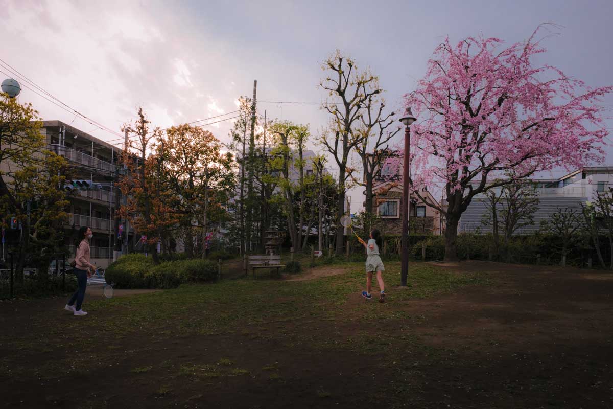 f:id:M5-884:20220415124705j:plain