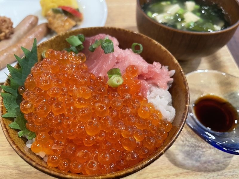 宿泊レビュー ベッセルイン札幌中島公園に泊まって 朝から海鮮丼食べ放題 いぐあなとうふ店 きまぐれ文筆 情報ブログ 宿泊レビュー ベッセルイン札幌中島公園に泊まって 朝から海鮮丼食べ放題 いぐあなとうふ店 きまぐれ文筆 情報ブログ