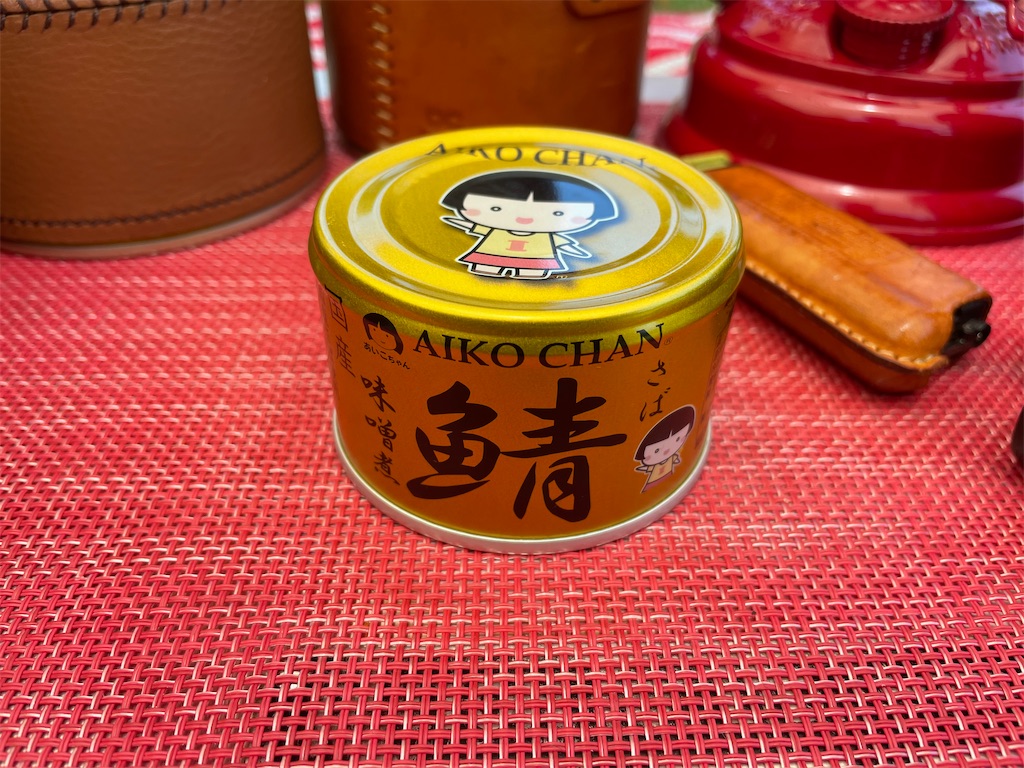 f:id:MAAKATU:20240625132830j:image