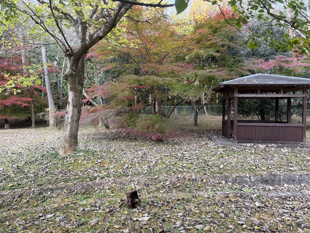 f:id:MAAKATU:20251128110032j:image