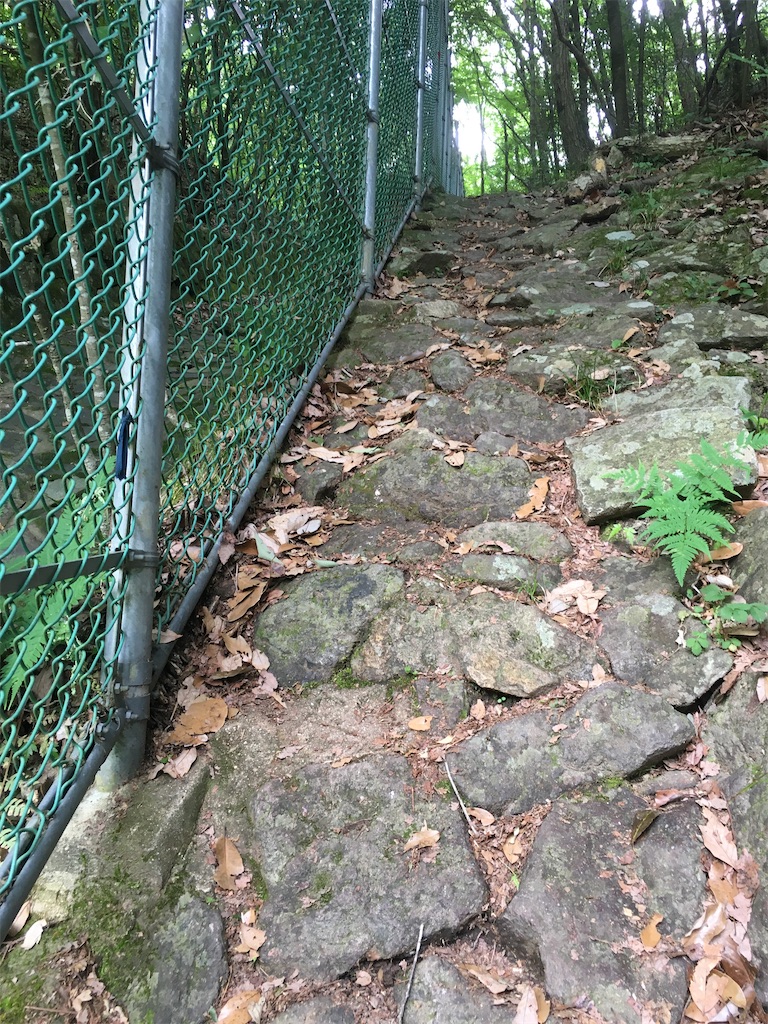 f:id:MABOTUNA:20200602122053j:image