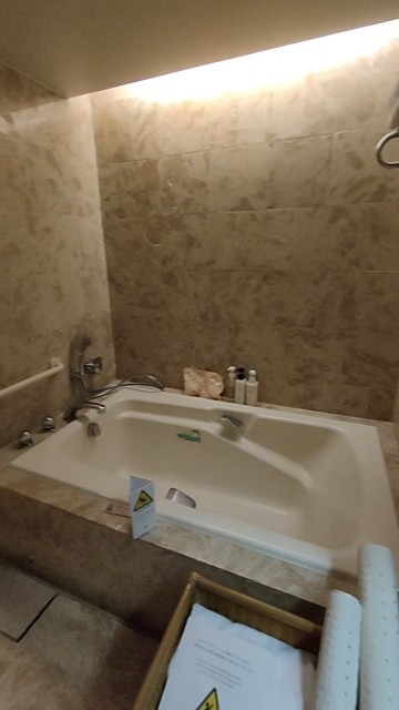 f:id:MABOTUNA:20241020161526j:image