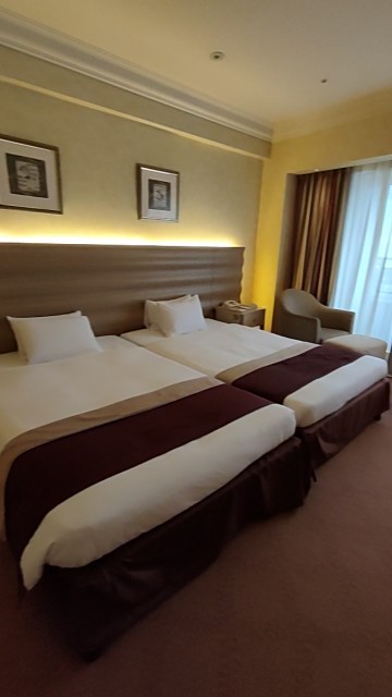 f:id:MABOTUNA:20241020161705j:image